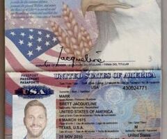 Social cards ,visas, biometric passport,